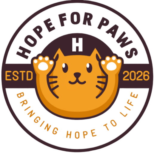 strayhelp.com